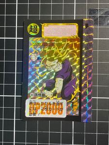 ドラゴンボール　カードダス　キラカード　管14 No.603 孫悟飯