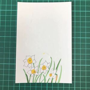 絵はがき　５枚 水仙　(縦115)