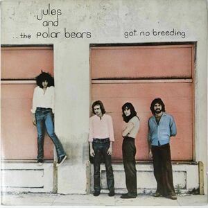 37590【プロモ盤★良盤】 JULES And THE POLAR BEARS/Got No Breeding