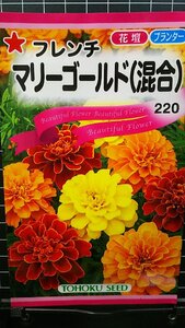 マリーゴールド フレンチ 混合 ３袋セット 種 郵便は送料無料