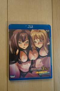 むらかみてるあき 特別授業3SLG THE ANIMATION EXTEND Blu-ray ブルーレイ