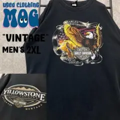 00s USA製《US古着》ハーレーダビッドソン イーグルTシャツ メンズ2XL