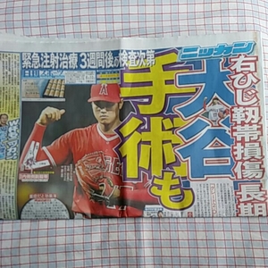 日刊スポーツ●2018年6月10日 日刊スポーツ●サッカー●新聞