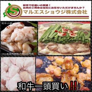 脂が違う！人気上昇中 ホルモン北海道産黒毛和牛小腸（脂付）和牛小腸400g モツ鍋 博多 もつ鍋 焼き肉 焼肉 10kg迄送料同額にて迄同梱可能