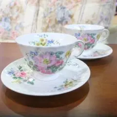 ROYAL DOULTON カップ&ソーサー 2客セット アルカディア 廃盤品