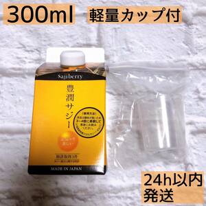 サジー 豊潤　豊潤サジー　300ml 　フィネス　紙パック　軽量カップ付き 健康 鉄分 貧血 妊活 夏バテ ドリンク