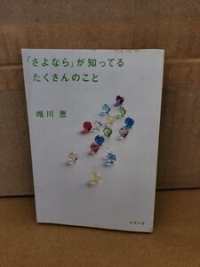 唯川恵『「さよなら」が知ってるたくさんのこと』新潮文庫