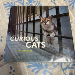 Mitsuaki Iwago Curious Cats 岩合光昭