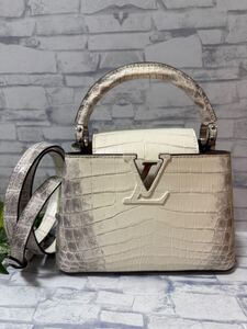 VIP顧客限定　 LOUIS VUITTON カプシーヌミニ　サハラ　シルバー金具　新品同様　 2WAY ヒマラヤ　定価550万円　エキゾチックレザー