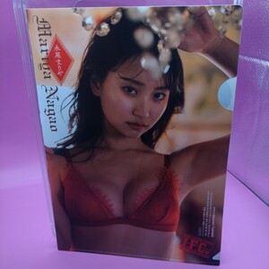 ヤングチャンピオン烈 2022年4月号 付録 永尾まりや クリアファイル 美品