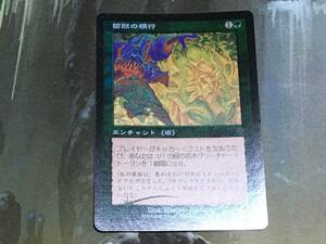 MTG 菌獣の横行/Saproling Infestation Foil 日 1枚迄