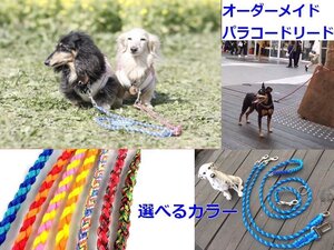 犬のリード【ライトブルー＆ダークグリーン】パラコード職人手作りペットリード 軽い丈夫ほどくと8mの非常用強力ロープにアウトドアロープ