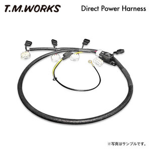 T.M.WORKS ダイレクトパワーハーネスキット ランサーエボリューション10 CZ4A 4B11(MIVEC) H19.11～