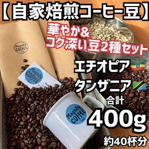 【匿名配送】自家焙煎コーヒー豆　華やか&コク深い珈琲豆2種セット(タンザニア(キリマンジャロ)/エチオピアモカ)400g /約40杯分　(豆or粉)