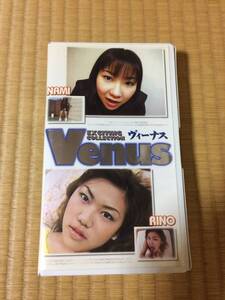 Venus ヴィーナス 