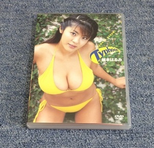 根本はるみ Harumi Nemoto Typhoon タイフーン DVD 中古美品