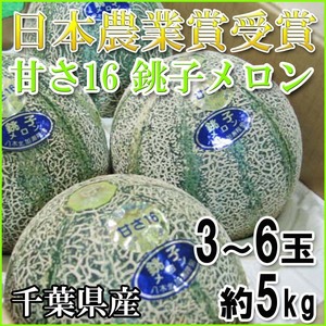 【Good】日本農業賞受賞！アムスメロン『甘さ16 銚子メロン』3～6玉 約5kg ご予約