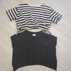 ZARA ストライプ クロップドTシャツ サイズ134　2点