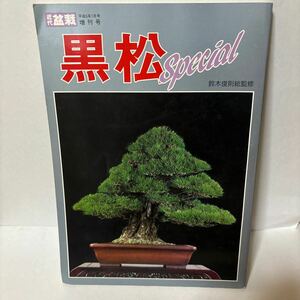 黒松スペシャル 月刊「近代盆栽」増刊 鈴木俊則 平成6年1月発行 中古 希少