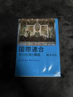 国際連合 その役割と機能