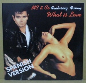 MC ＆ CO FEATURING FANNY / WHAT IS LOVE