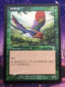 MTG/極楽鳥/Birds of Paradise/7ED/Foil/日本語/希少/A