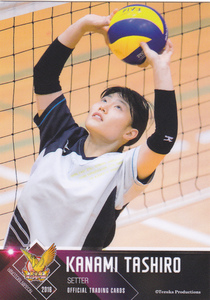 火の鳥NIPPON2016 RG34 田代佳奈美 滋賀県栗東市 治田東小学校 裾花中学校 古川学園高校 東レアローズ はやぶさジュニア