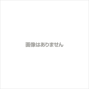 講座　社会人教授入門 方法と戦略／松野弘(著者)