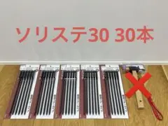 スノーピーク　ソリッドステーク30 30本