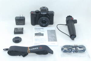 ★極美品★Panasonic パナソニック LUMIX DC-G100DV-K 12-32mm レンズキット トライポッドグリップ付き♪