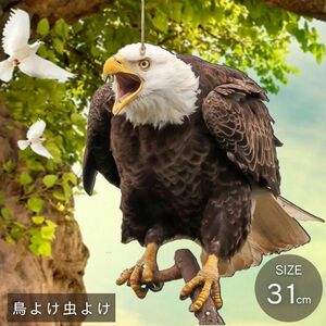 鳥よけ リアル鷲プリント 吊り下げ プレート 大きいサイズ 虫除け 猛禽類 鷲 鷹 ホーク イーグル かかし 案山子 ベランダ吊り下げ 