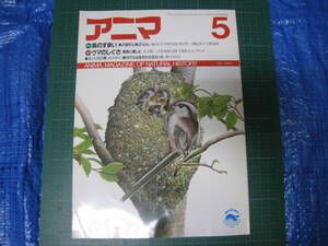 アニマ　1987年5月号　特集：鳥のすまい　ウマのしぐさ　平凡社