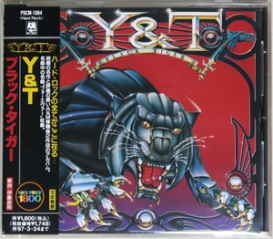 ◇ CD ワイ・アンド・ティー Y&T ブラック・タイガー BLACK TIGER 日本盤 帯付き POCM-1984 新品同様 ◇