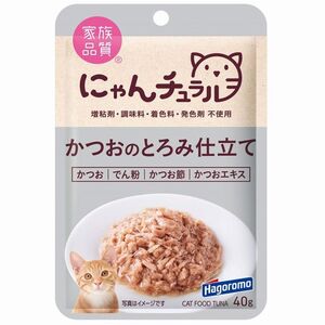 （まとめ買い）はごろもフーズ にゃんチュラルパウチ かつおのとろみ仕立て 40g 猫用フード 〔×32〕