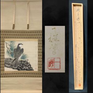 【模写】（樟13）在銘　掛軸　日本画　「神鷹」　共箱　二重箱　箱書き　約142×66㎝