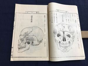 各骨真形図　1冊　絵入り　検　お経写経写本唐本漢籍和本和書中国支那仏教真言密教密宗古本古書古文書漢詩漢文易学周易拓本医学漢方朝鮮