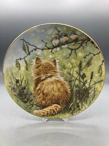 ロイヤルウースター Bird watcher 猫 茶トラ 飾り皿 絵皿 ネコ 猫 皿 (761)