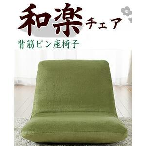 日本製 背筋ピン座椅子「S」テクノグリーン リクライニング コンパクト ソファや椅子に置いてもOK(沖縄、離島への配達不可)
