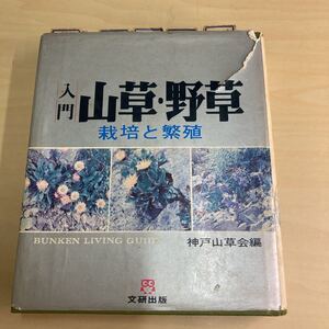 入門　山草・野草　栽培と繁殖