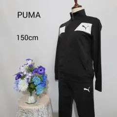 プーマ　極上美品　PUMA　ジャージ　上下　150cm 黒色系