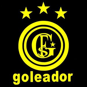 送料0【goleador】ゴレアドール 25cmサッカーステッカーB5