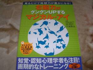 ◆右脳力がグングンUPするマジカルアイ 2002年7月14日発行　中古品