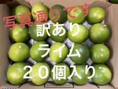 訳あり　ライム20個入り ①