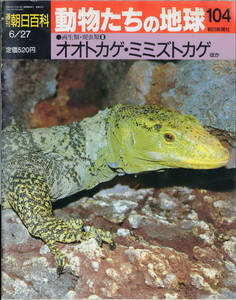 ■　週刊朝日百科　動物たちの地球 104 両生類・爬虫類⑧　オオトカゲ・ミミズトカゲ　ほか