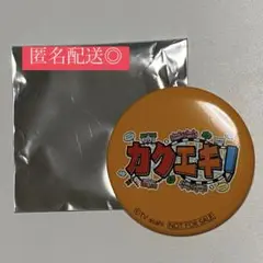 カクエキサイダー 缶バッジ オレンジ