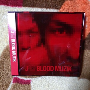 J ジェイ CD『 BLOOD MUZIK』帯あり 美品 LUNA SEA