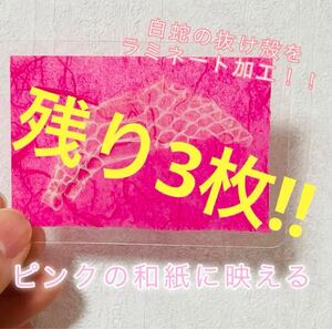 白蛇の抜け殻（ピンク）　お守り　ラミネート　開運　恋愛