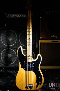 Fender Telecaster Bass / 1974