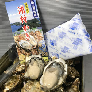 【送料無料】三重県産 浦村かき カンカン焼き×2缶セット　（殻付き Mサイズ 約35～40個前後、約4キロ目安） 牡蠣 OYSTER オイスター 1