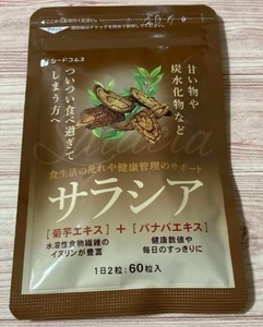 送料無料 サラシア　約1ヵ月分　ダイエット サラシア茶 炭水化物　シードコムス